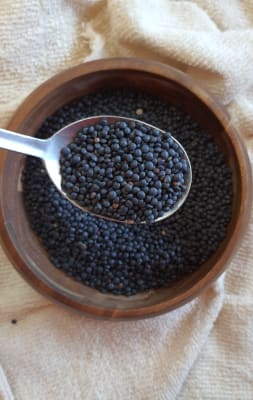 Lentejas Negras 500 gramos