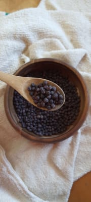 Maqui entero 100 gramos1