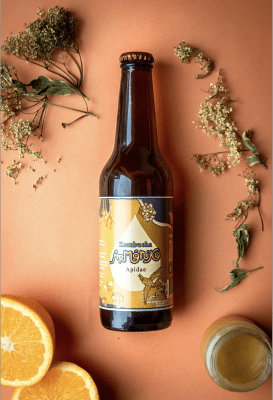 Kombucha Apidae