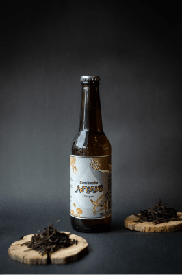 Kombucha Origen