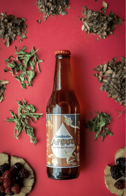 Kombucha Pasión del Bosque