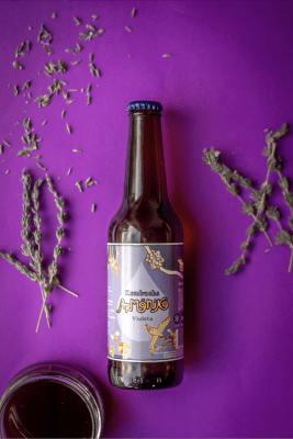 Kombucha Violeta