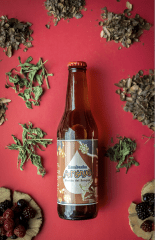 Kombucha Pasión del Bosque