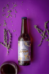 Kombucha Violeta