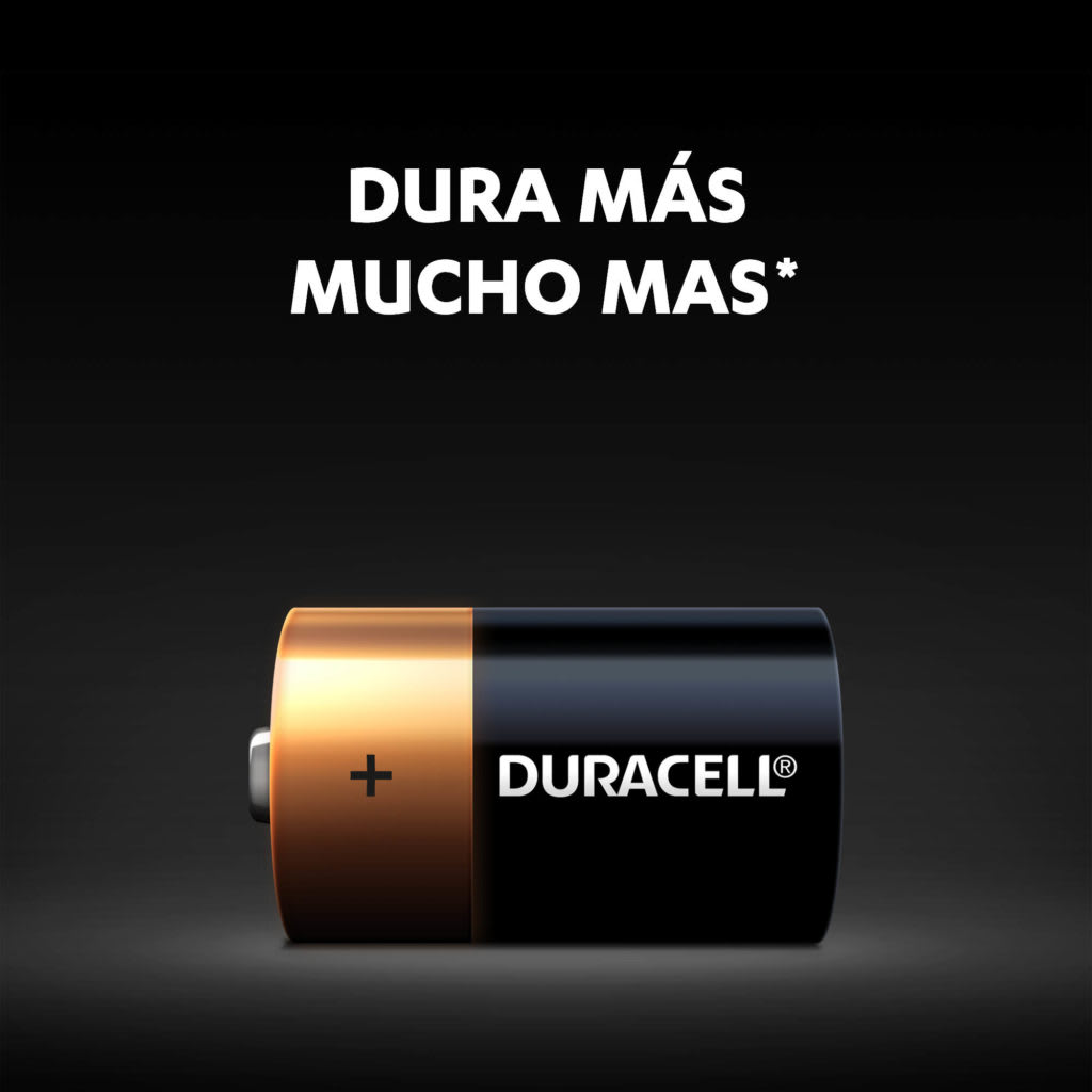 PILA DURACELL GRANDE D SET X21