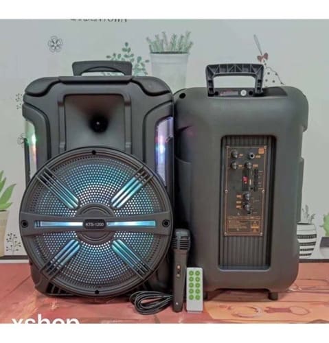 PARLANTE KTS-1200 12