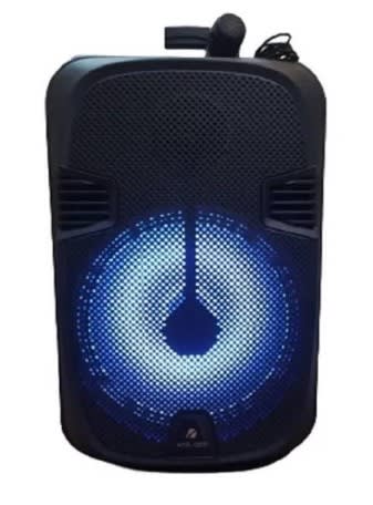 PARLANTE KTS-1202 12