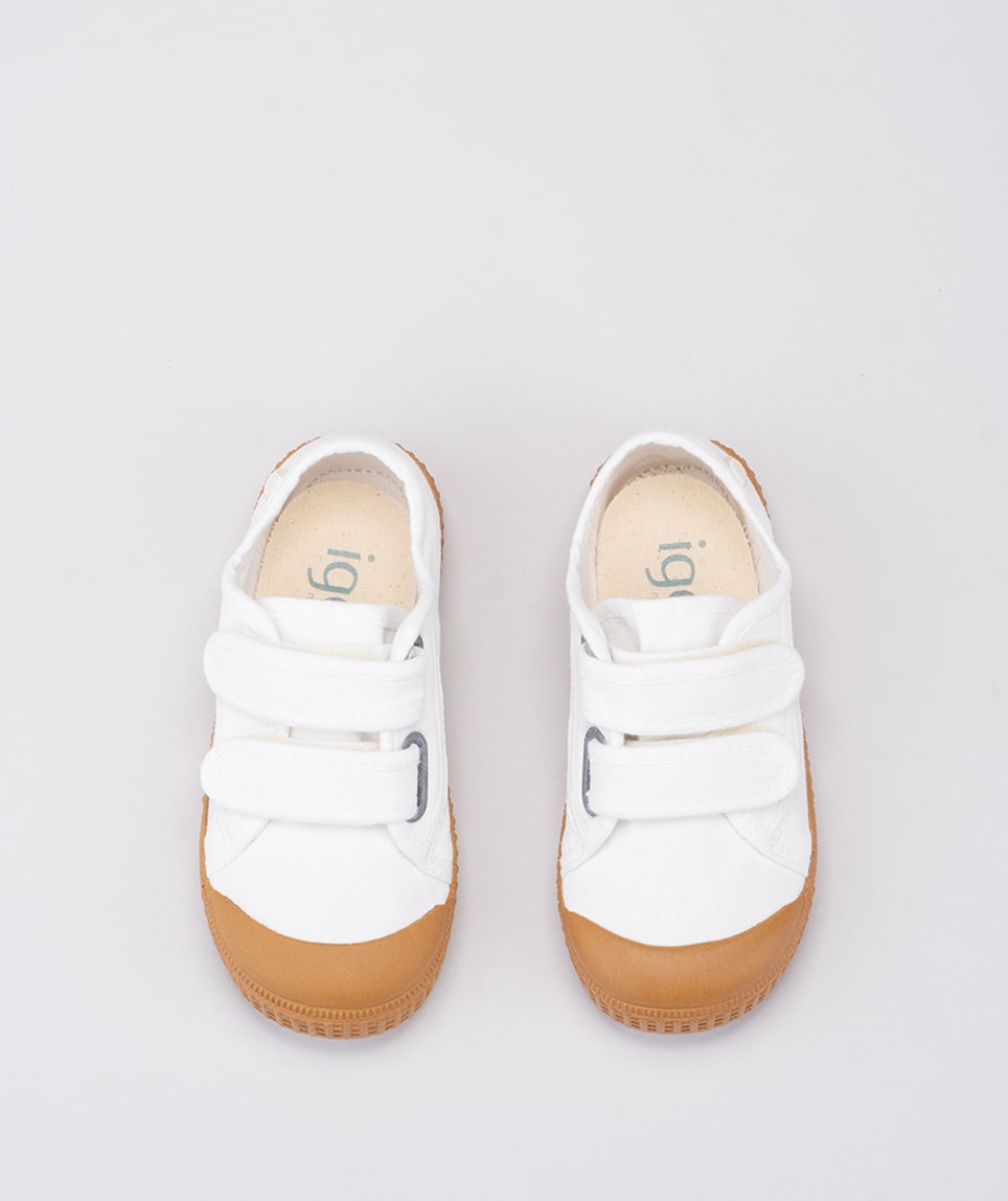 Berri V. Caramelo Blanco4