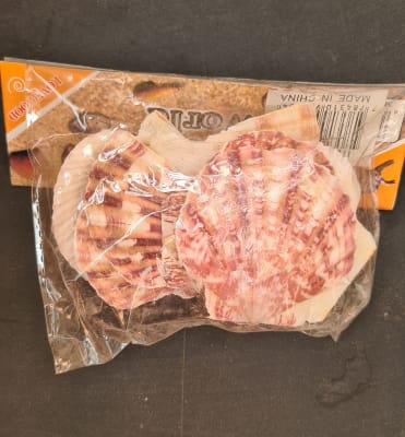 Bolsa Concha Ostión1