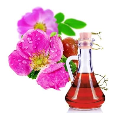 ACEITE DE ROSA MOSQUETA 100 ML