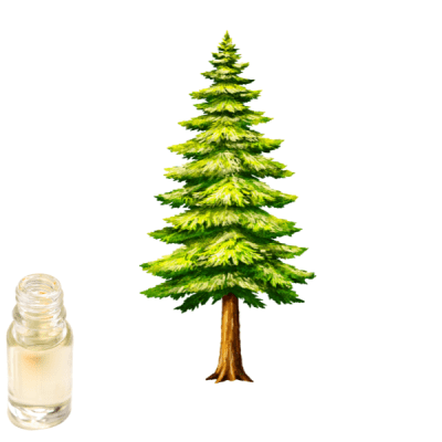 PINO AROMA