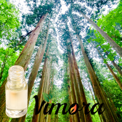 BOSQUES NATIVOS AROMA1