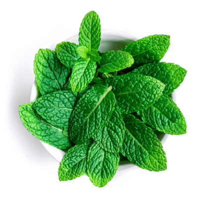 Menta Aroma