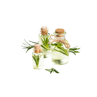 ROMERO EXTRACTO NATURAL 30 ML