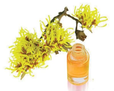 HAMMAMELIS EXTRACTO NATURAL 30ML