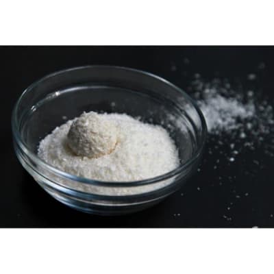 COCO DESHIDRATADO EN POLVO1