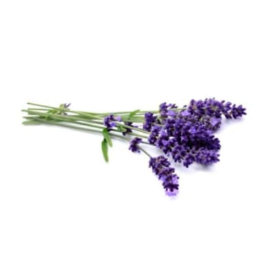 Lavanda Aroma