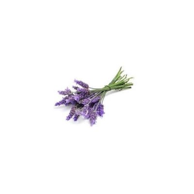 Lavanda Organica Seleccionada 10 grs (hierba) *