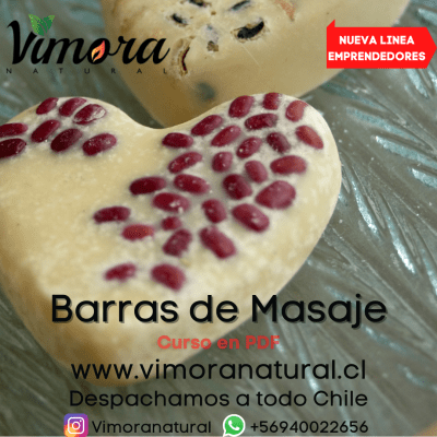 PDF CURSO BASICO BARRAS DE MASAJE