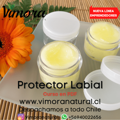 PDF CURSO BASICO PROTECTOR LABIAL