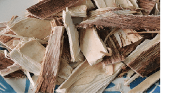 QUILLAY HIERBA 10 GRS1