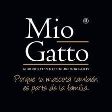Mio Gatto