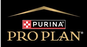 Pro Plan