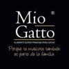 Mio Gatto