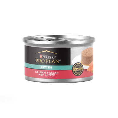 Pro Plan alimento húmedo Kitten salmon & ocean fish 85 gr