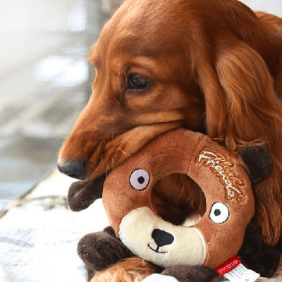 Gigwi Plush friendz oso dona