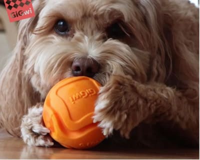 Gigwi foamer bounce ball orange