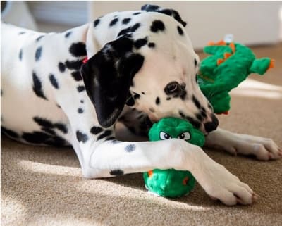 Gigwi Wild Hunter Crocodile TPR Treats fill