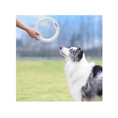 Gigwi Pop - Pals everlasting flying ring