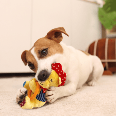 Gigwi Plush friendz lion