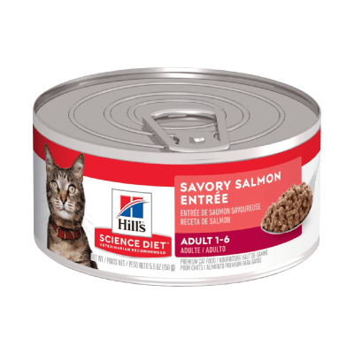 Hills SD Feline adulto salmón 156 gr