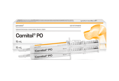 Carnitol PO pasta 15 ml