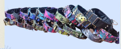 Duk Lup collar dogstrong DL Talla M