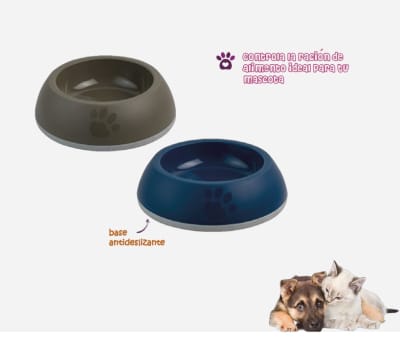 Basa plato para mascota Delice 1  300 ml