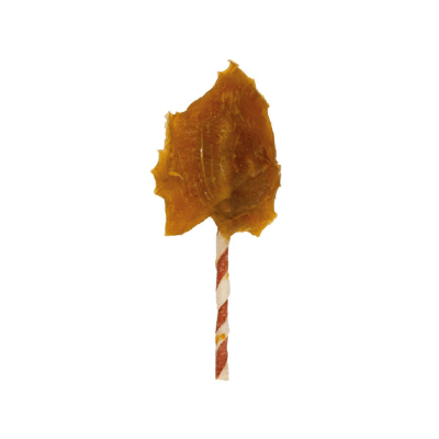 Dingo Snacks Wings - 2 unidades