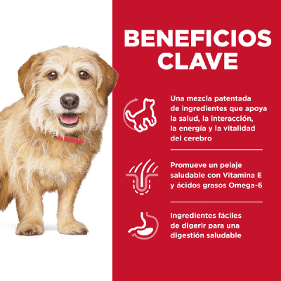 Hills SD Canine Adult 7+ small & mini senior vitality 1.58 Kg