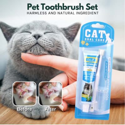Puppylandia Kit dental gato