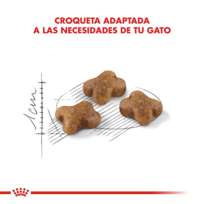 Royal Canin kitten 2 Kg