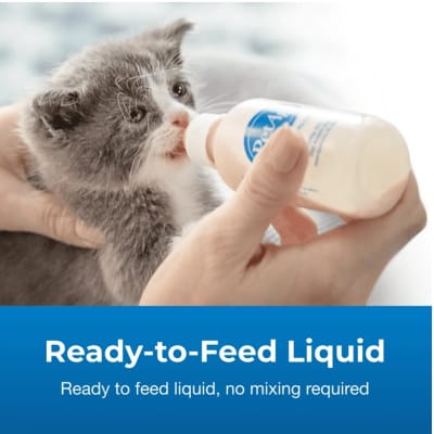 Pet Ag Kmr Liquid for Kitten 325 ml