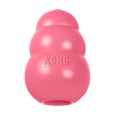 Kong puppy Medium