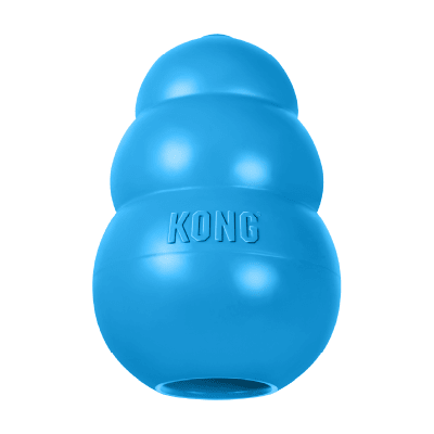 Kong puppy Medium