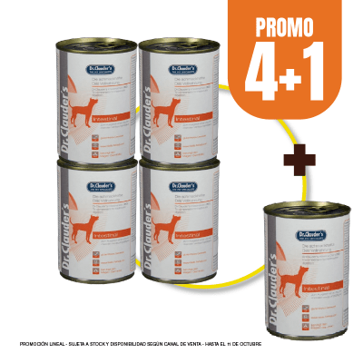 Pack Dr Clauders Dog Intestinal diet 400 gr (4+1)