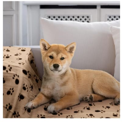 Puppylandia mantita importada