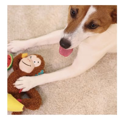 Gigwi plush mono