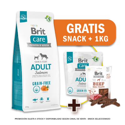 Pack Brit Care GF Adult Salmon & Potato 12 Kg + 1kg GRATIS + Snack
