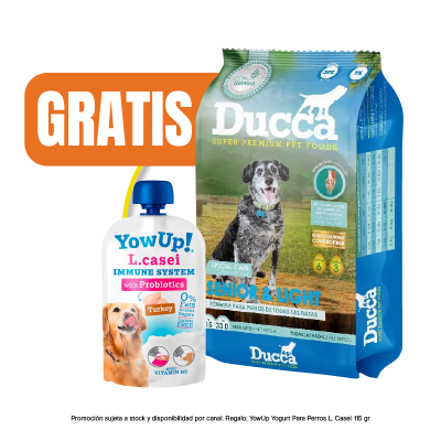 Pack Ducca Senior & Light 15 kg + YowUp Pouch Lcasei Dog 85 gr